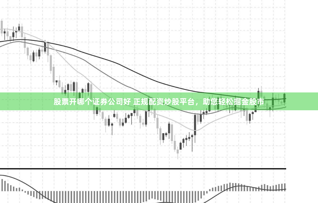 股票开哪个证券公司好 正规配资炒股平台，助您轻松掘金股市